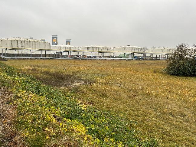 Übersicht des Ammoniak-Terminals im Blumensandhafen, Hamburg, für UVU und UVP-Bericht.